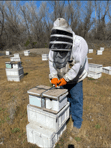 Beekeeping-Tips